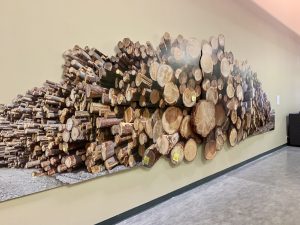 Fern Helfand’s “Okanagan Log Pile” joins the Public Art Collection